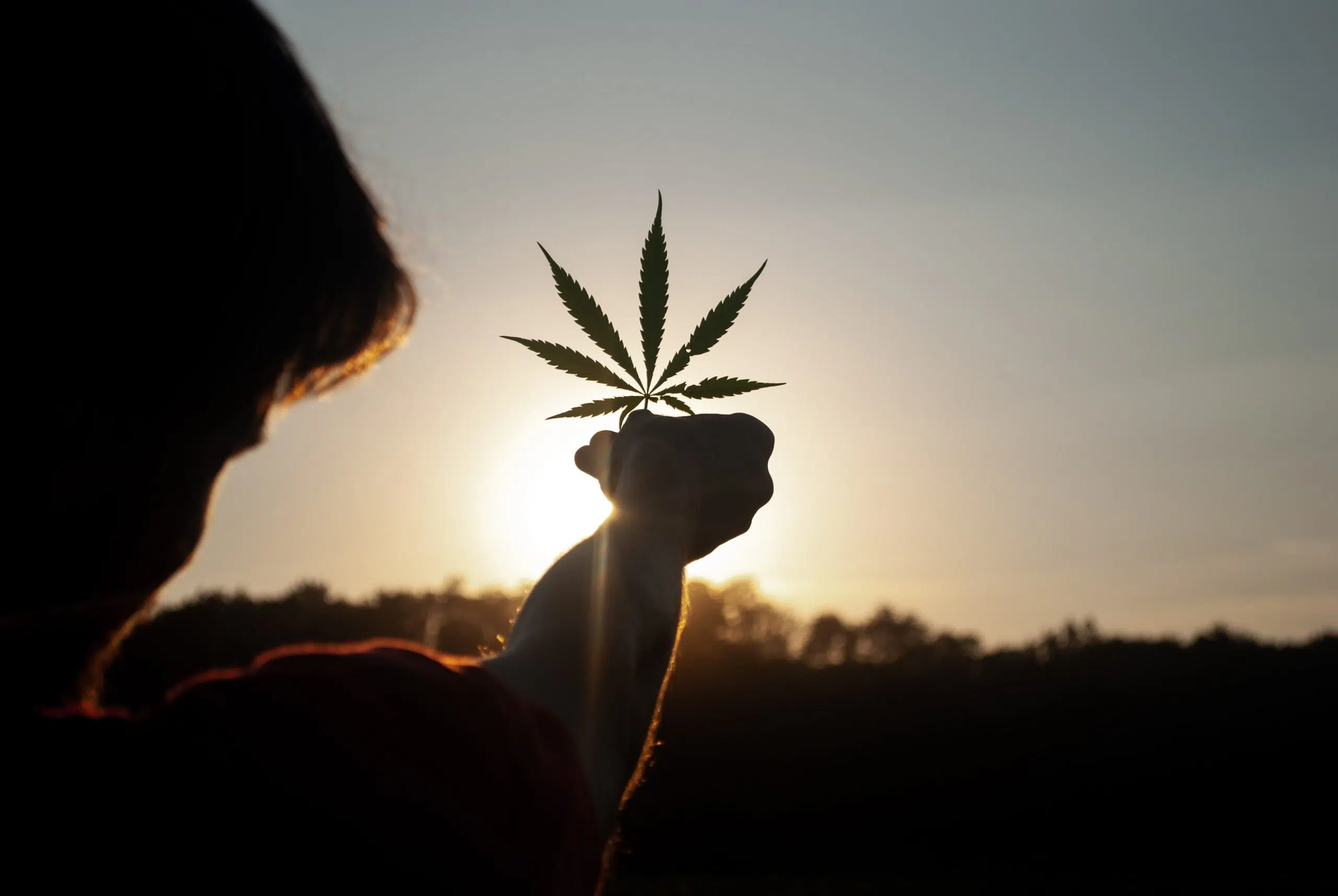 WI Republicans Float Proposal to Legalize Medical Marijuana