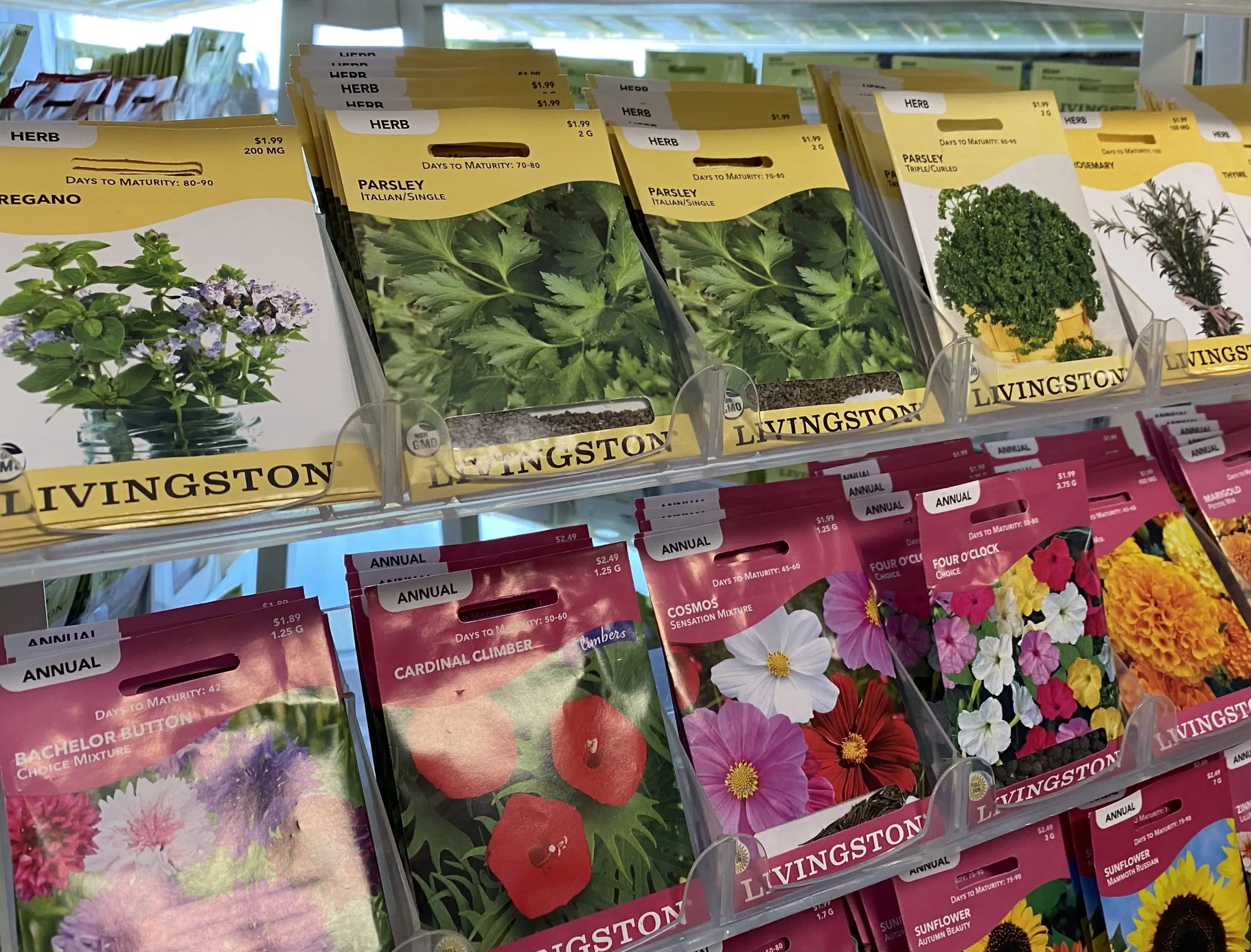 Harvesting and Saving Seeds Offered at Manitowoc Public Library