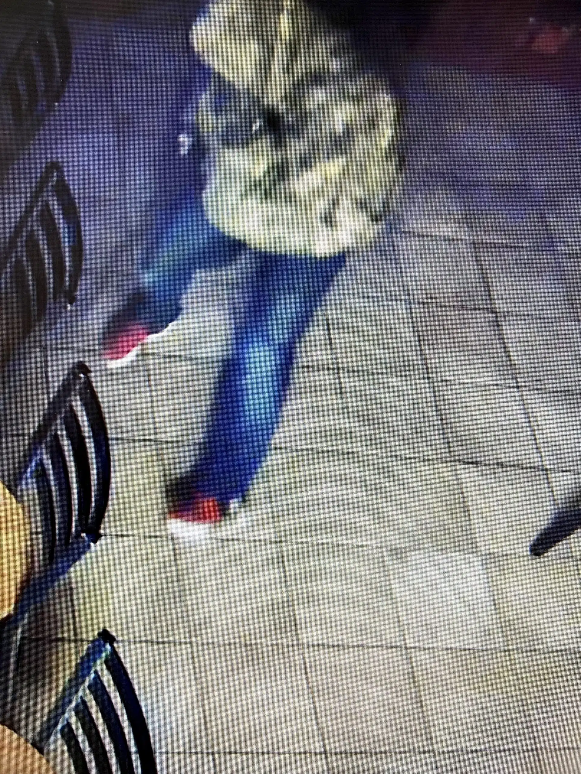 Manitowoc County Sheriff's Office Searching for Burglary Suspects