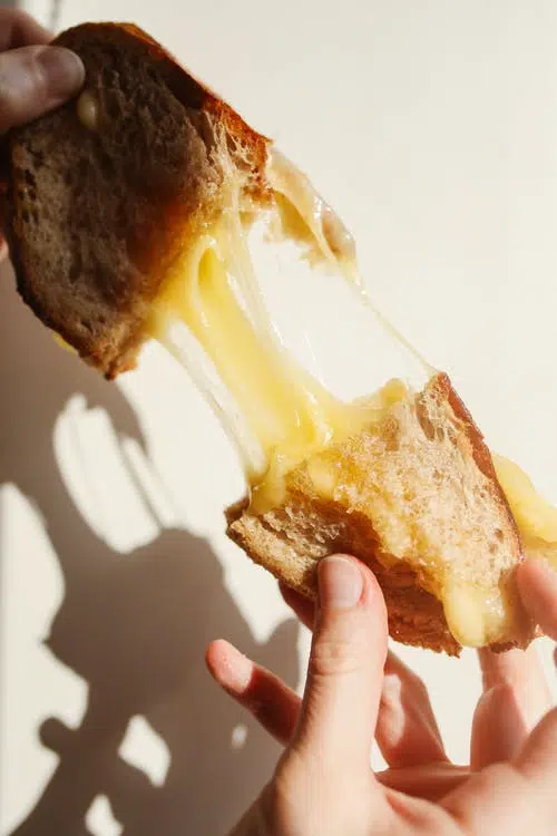 Farm Wisconsin and SeehaferNews.com to Host a Grilled Cheese Competition in April