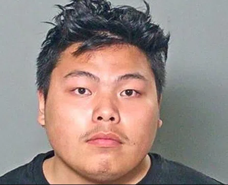 Minnesota Man Pleads Guilty in Appleton Shooting Case