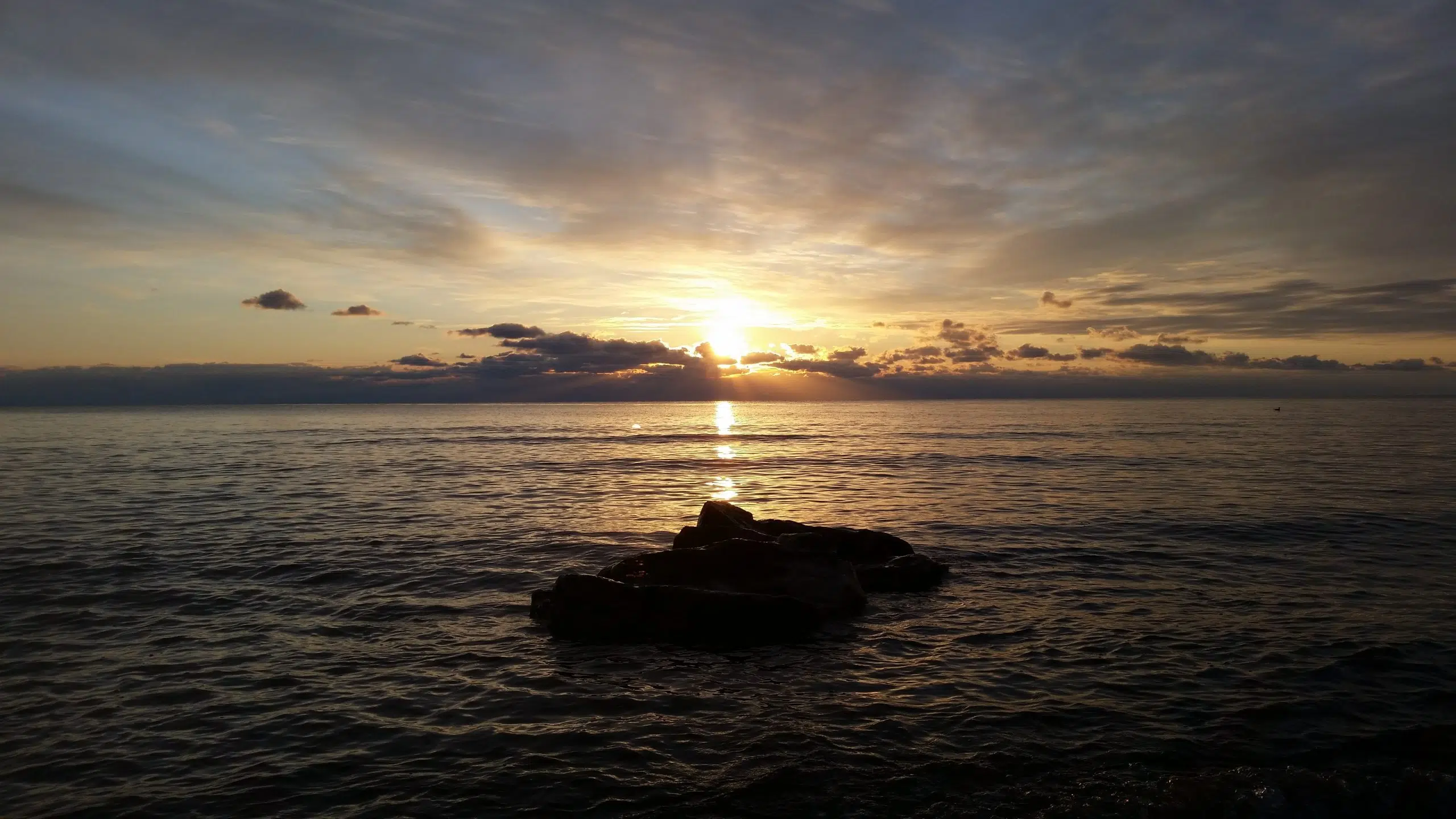 Ripples from the Dunes: Crepuscular Creatures