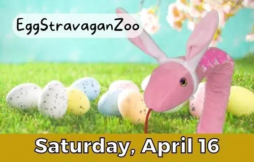 Green Bay's NEW Zoo 'Egg-cited' to Celebrate Easter