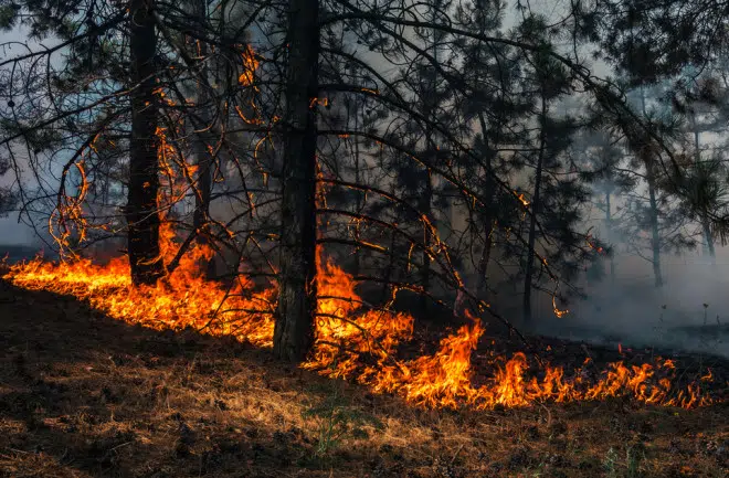 Canadian Wildfire Smoke Causing Additional Air Quality Alerts in Eastern Wisconsin