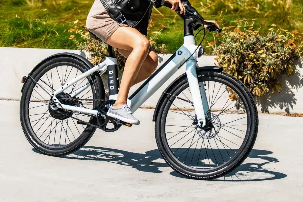 Local Bicycle Expert Talks Bike Servicing