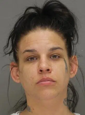 Green Bay Woman Sentenced in Body Burning Case
