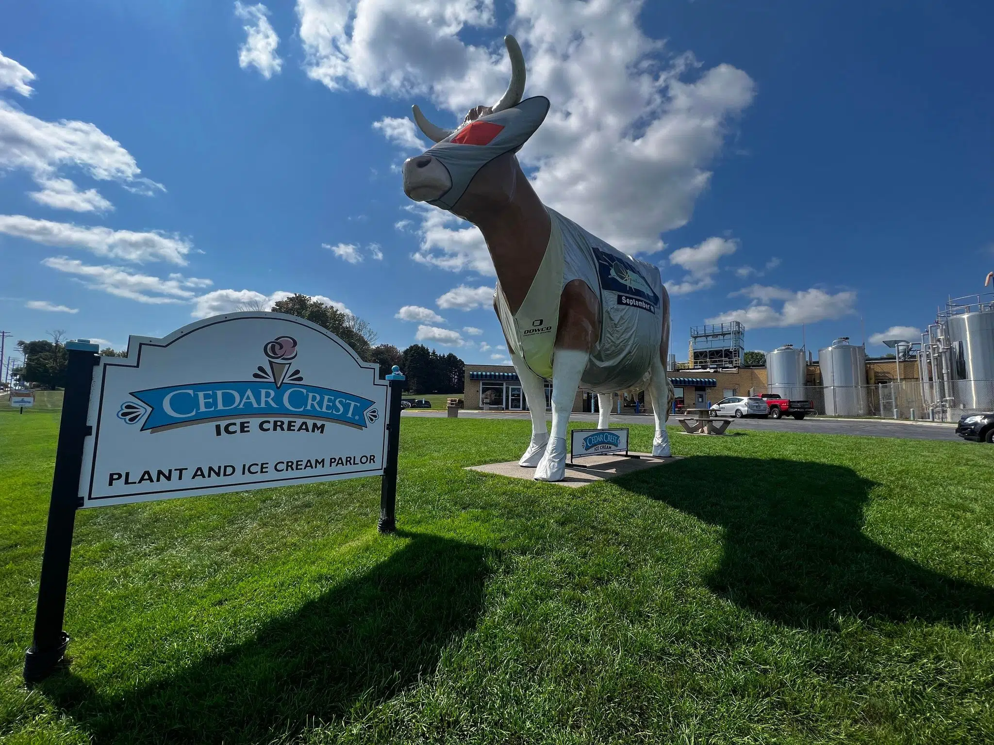 Bernice The Cow Dressed For Sputnikfest