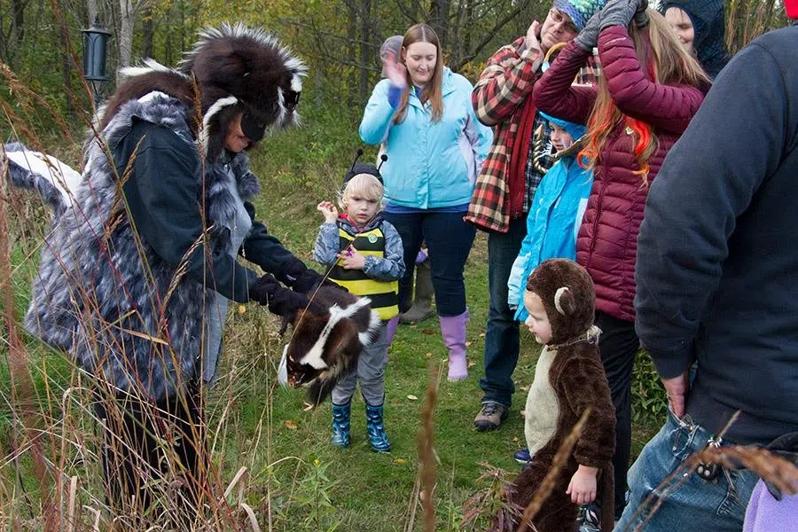 Woodland Dunes Invites Public to the Enchanted Forrest