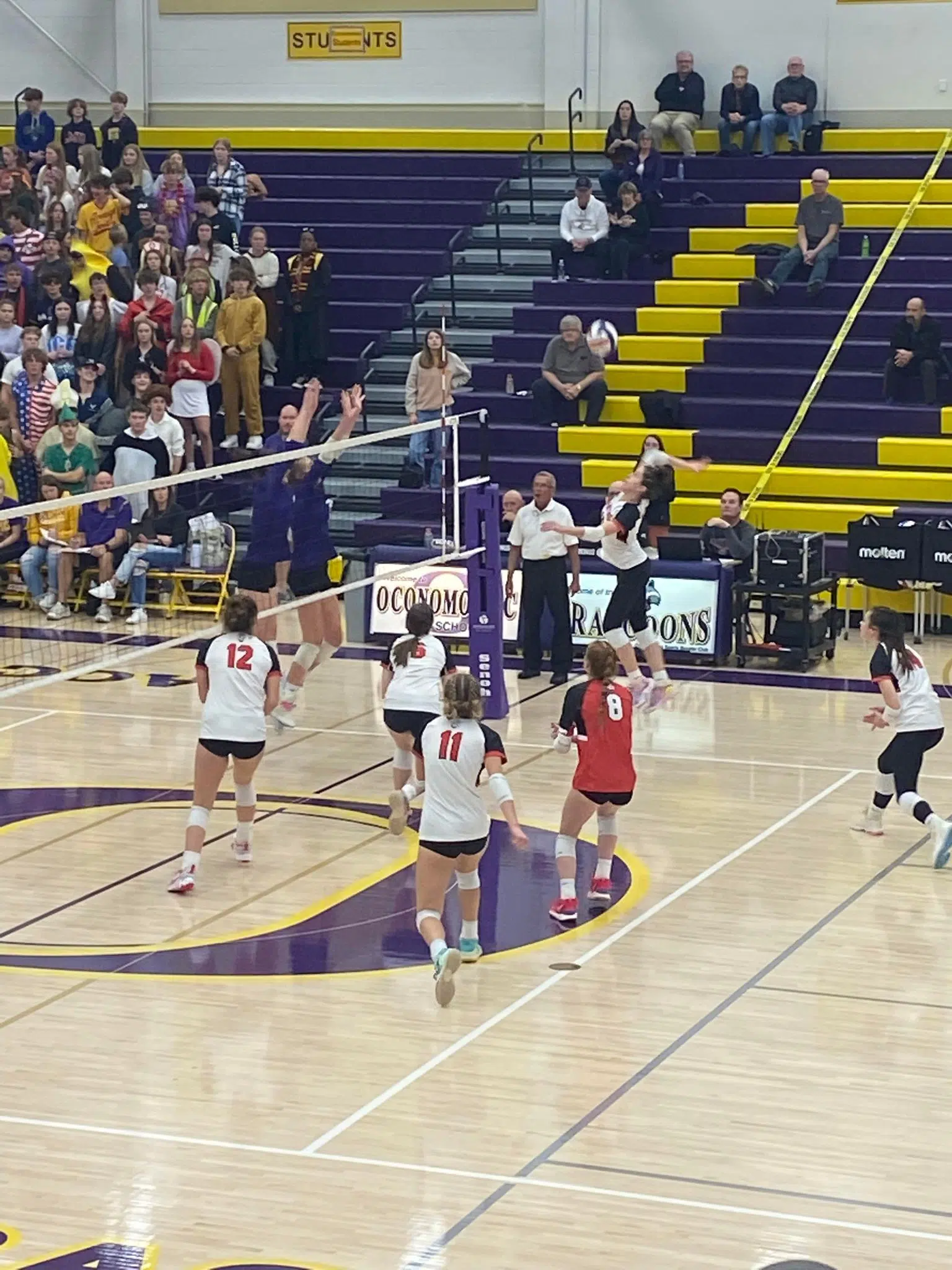 Ships Volleyball Season Ends One Match Short Of State