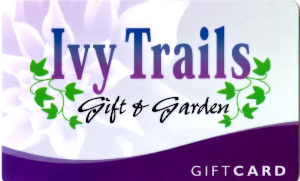 Manitowoc Gift Shop Moves To New Location