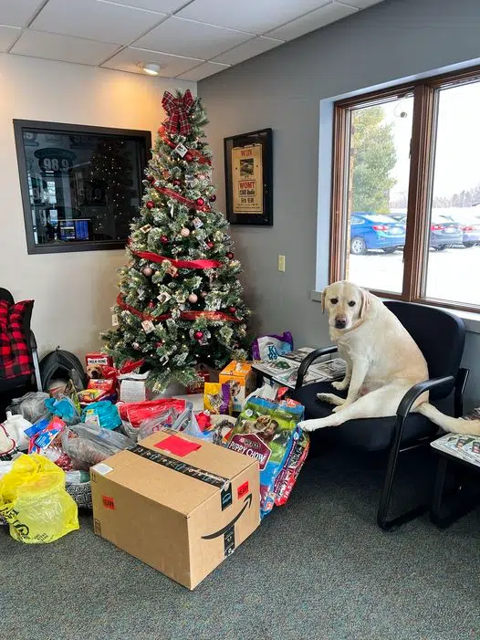 Paws Up Pet Rescue Donation Drive Extended