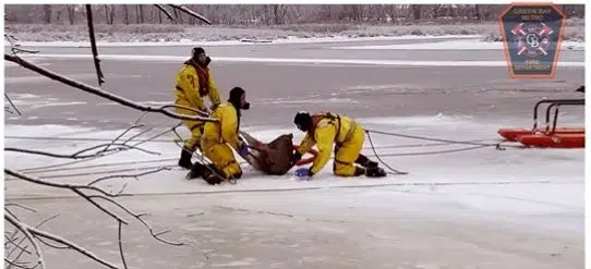 Green Bay Fire Crews Recue Deer from Icy East River