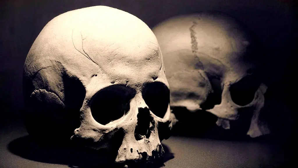 New Details Uncovered in Oconto County Cold Case from 1979