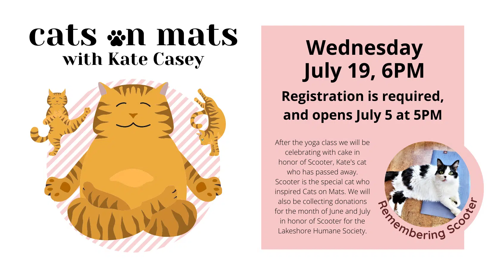 https://media-cdn.socastsrm.com/wordpress/wp-content/blogs.dir/1960/files/2023/06/cats-on-mats-july-2023.png