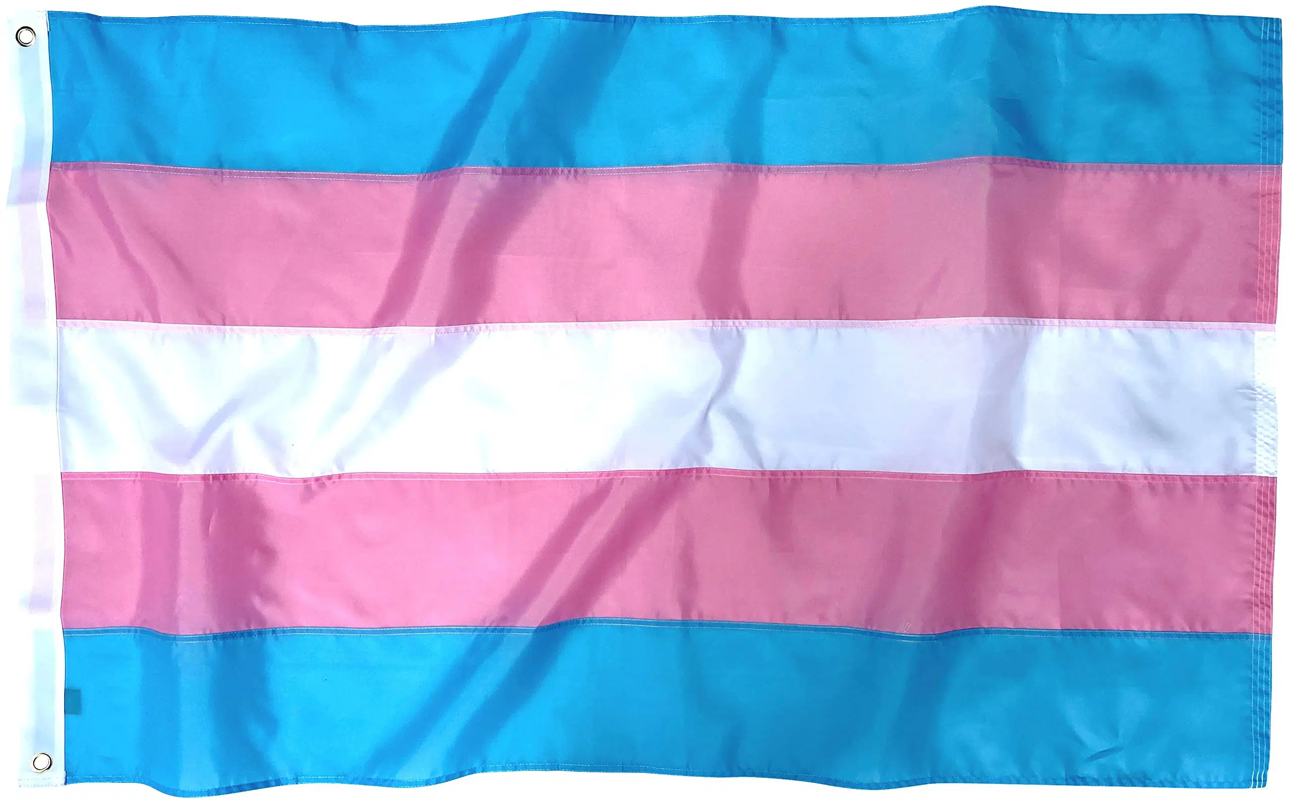 Madison Flying Trans Pride Flag Over City Hall