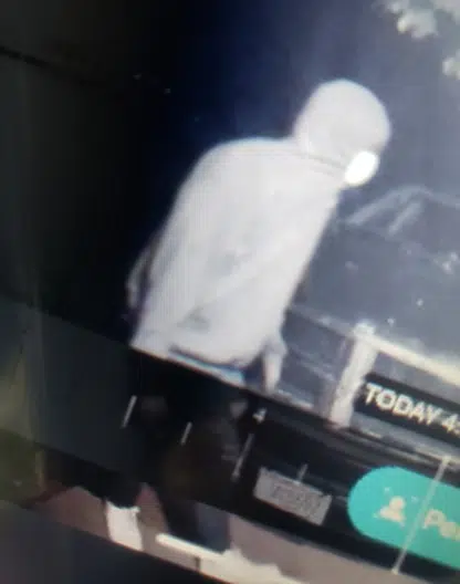 Green Bay Police Asking for Help Identifying Prowling Suspect