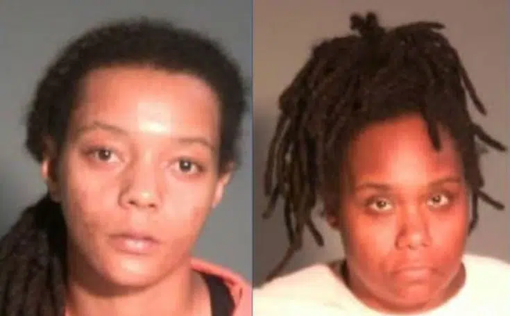 Two Women Officially Charged in Multi-County High Speed Chase