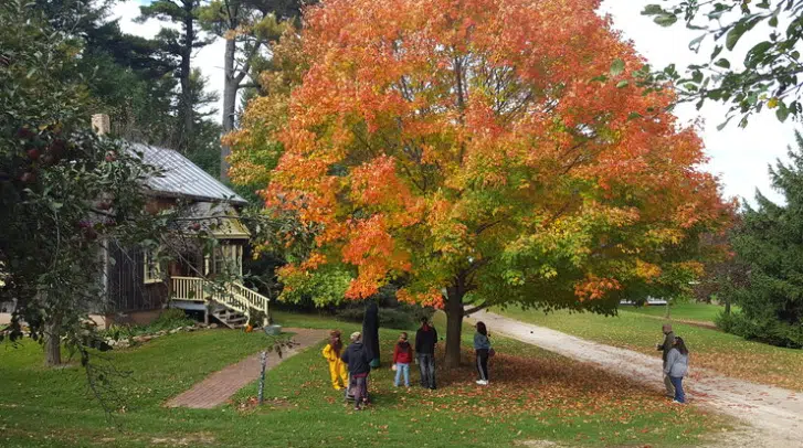 Manitowoc County Historical Society Nearing Return of Fall Hours