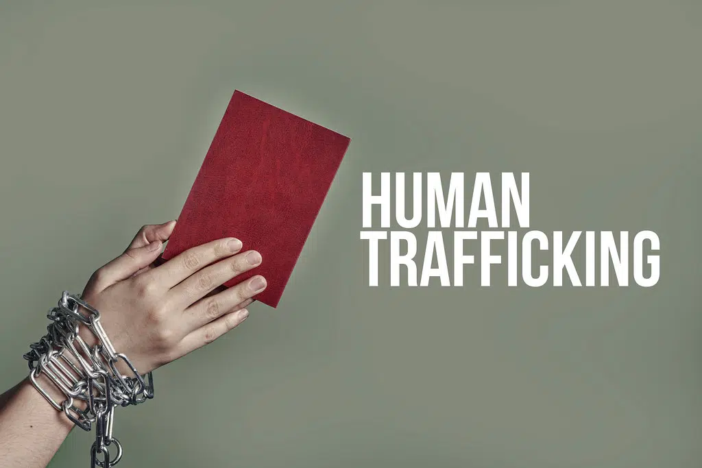 Sheboygan County Human Trafficking Task Force To Host Presentation This Month Seehafer News 5271