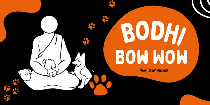 Bow wow training sale