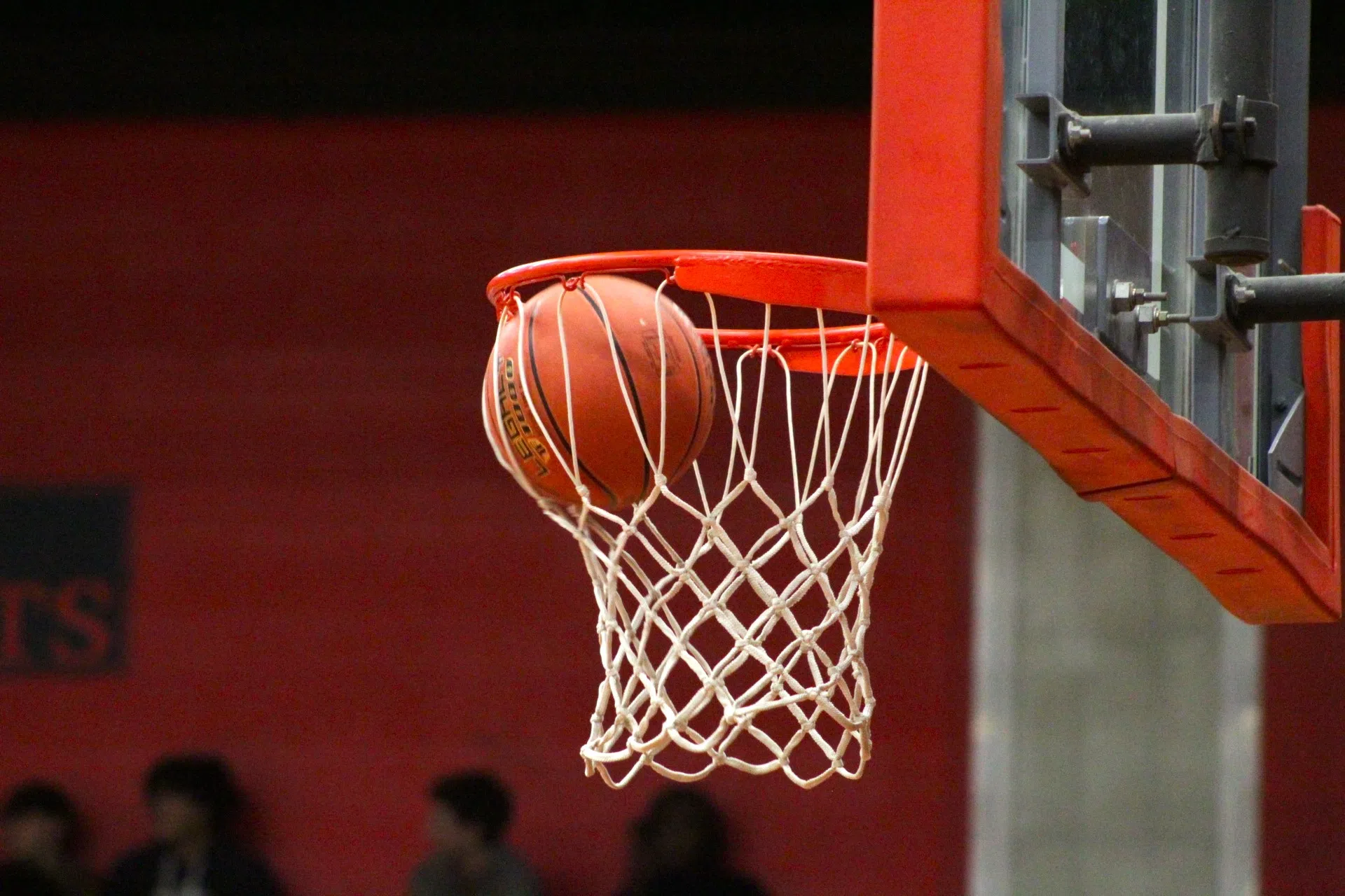 Northeast Wisconsin Well Represented in Associated Press High School Basketball Poll