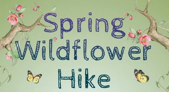 Camp Sinawa Wildflower Walk