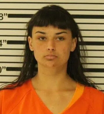 Woman Pleads Guilty in Violent Dunn County Burglary