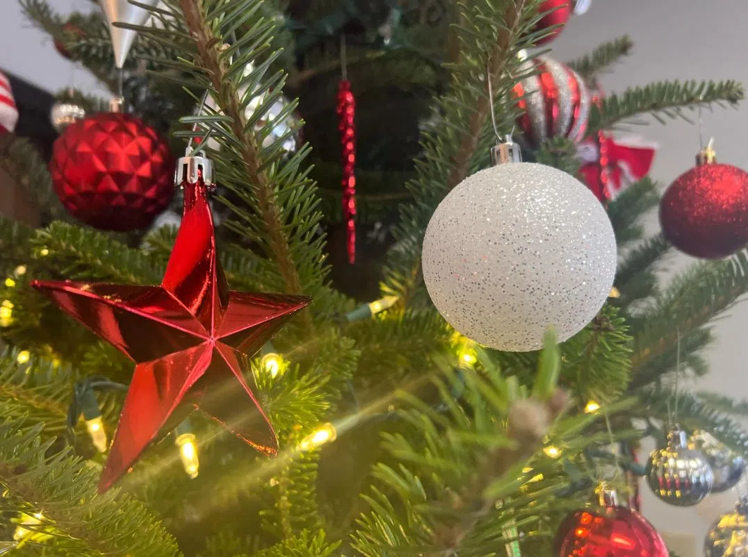 Manitowoc Forestry Division Brings Back Tree for a Tree Program