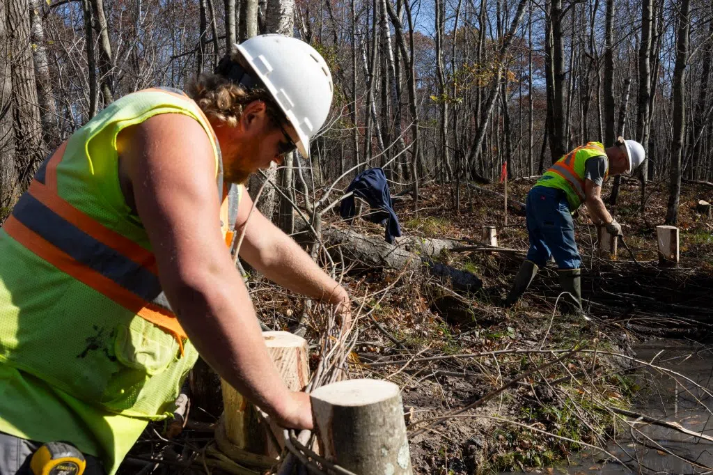 Wisconsin Farmer Uses "Mock Beaver Dams' to Restore Wetlands