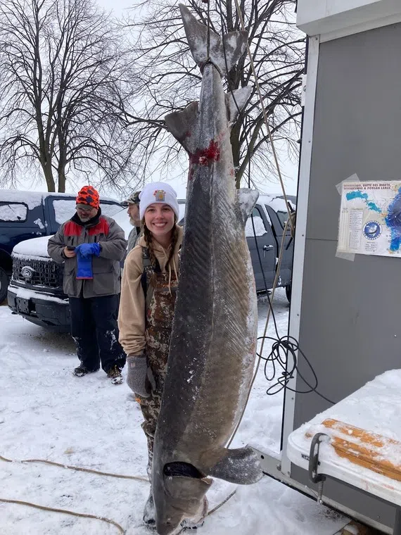 Sturgeon Spearing License Purchases Due At the End of the Month