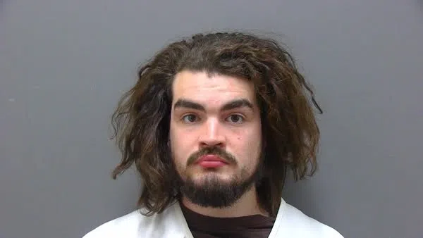 Kenosha Drug Raid Uncovers $100K in Marijuana