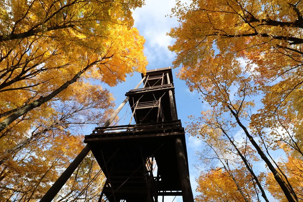 Door County Park Observation Tower to Reopen After Eight Years