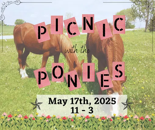 Crossfire Ranch Invites Everyone to Enjoy a Picnic with the Ponies