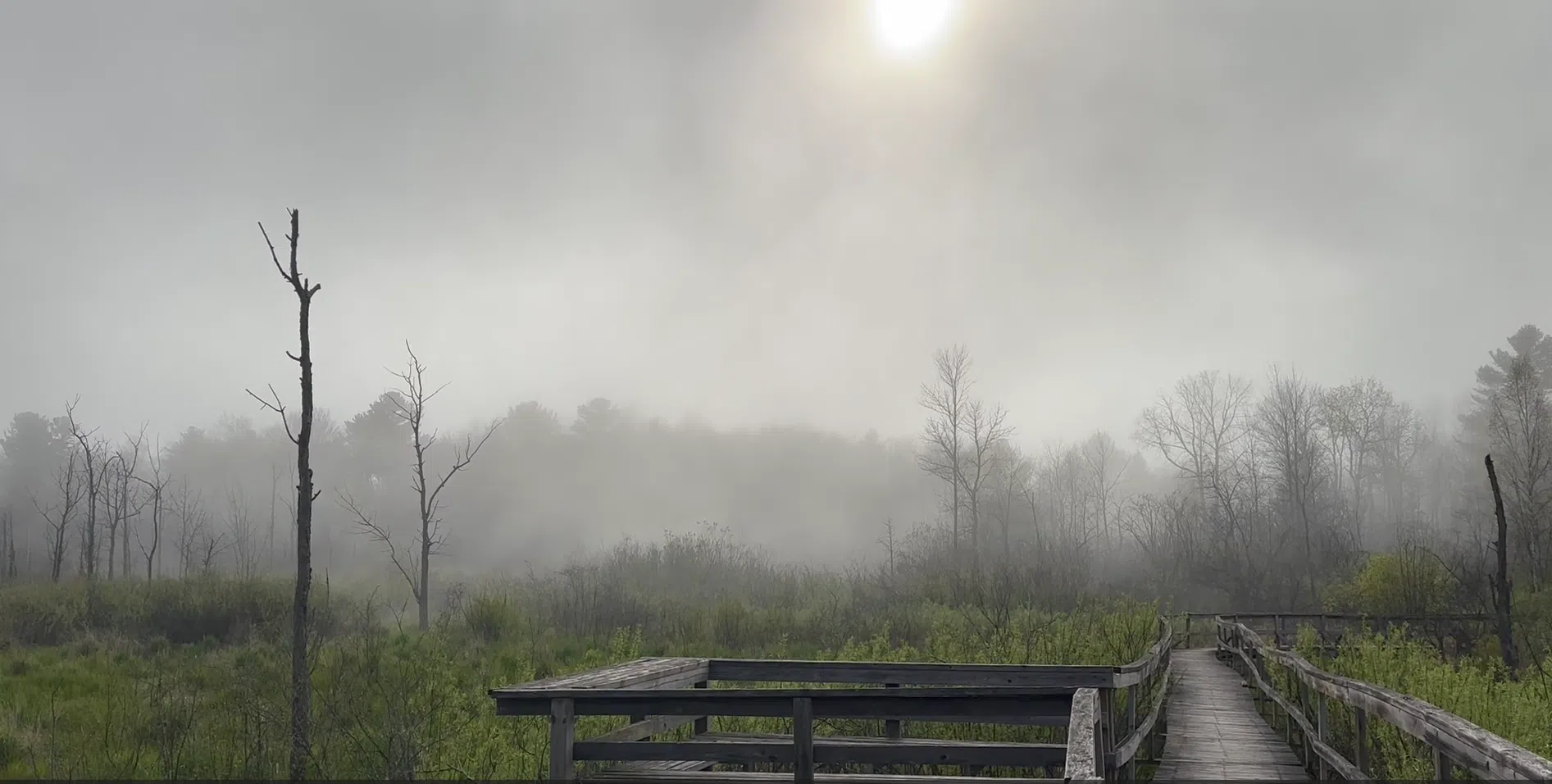 Ripples From the Dunes - Fog
