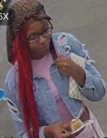 Brown County Sheriff's Office Searching for Pet Store Fraudster