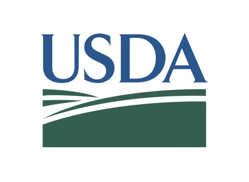 USDA Offering Free ID Tags for Wisconsin Cattle, Bison