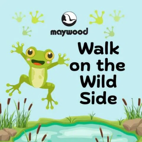 Maywood's Walk on the Wild Side Returns to Sheboygan this Weekend