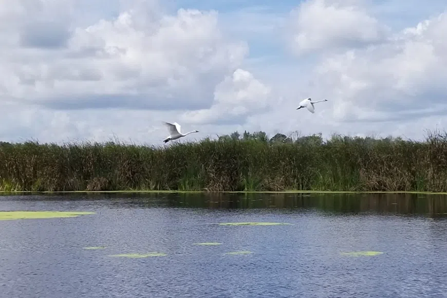 Dredging of Manitowoc River Near Brillion Wildlife Area Scheduled for 2026