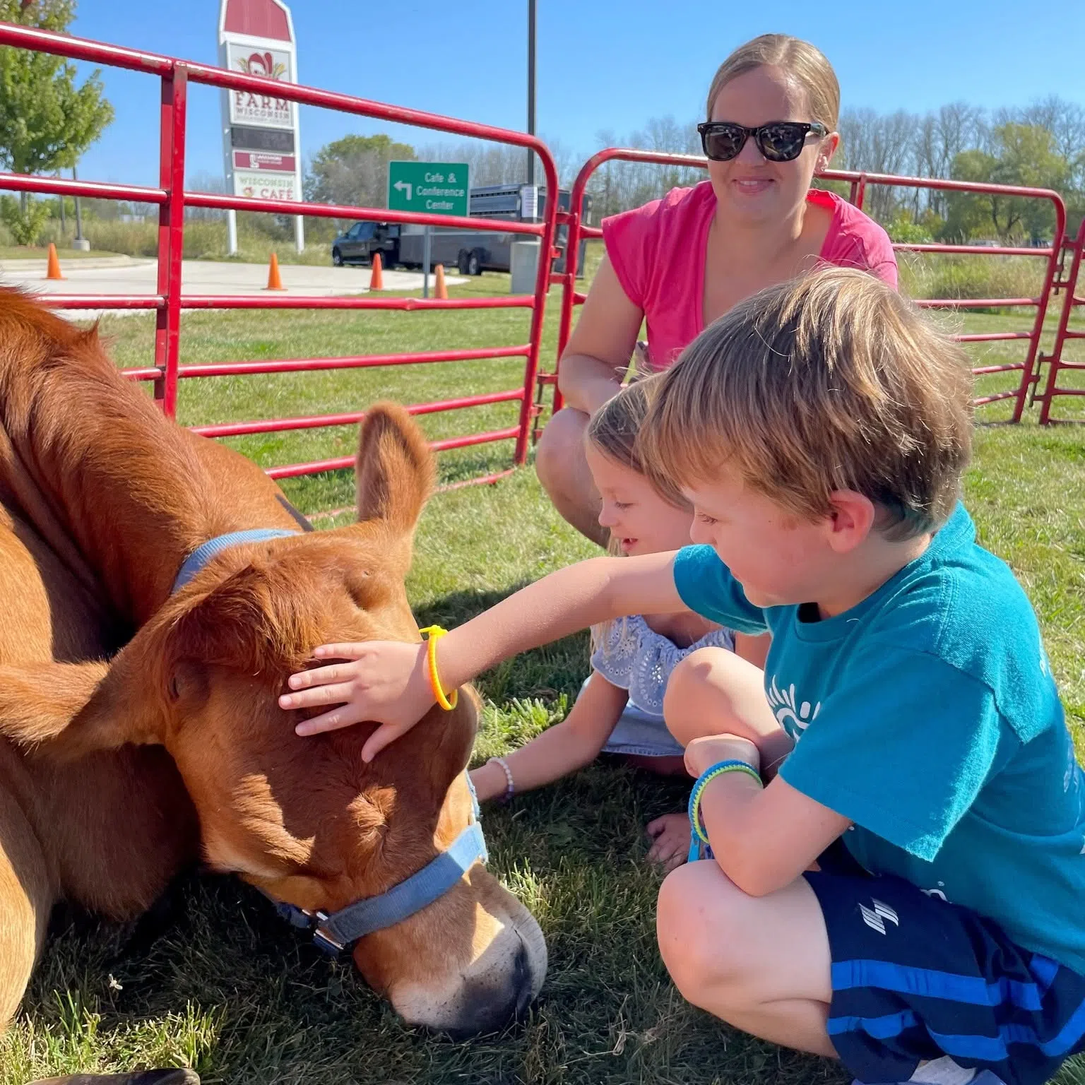 Free Fun for Kids as Farm Wisconsin Marks 7th Anniversary