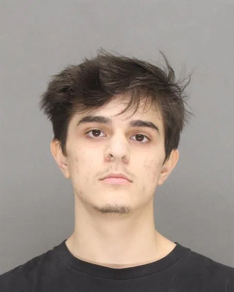 Gunfire at Pulaski Park Leads to Teen Arrests