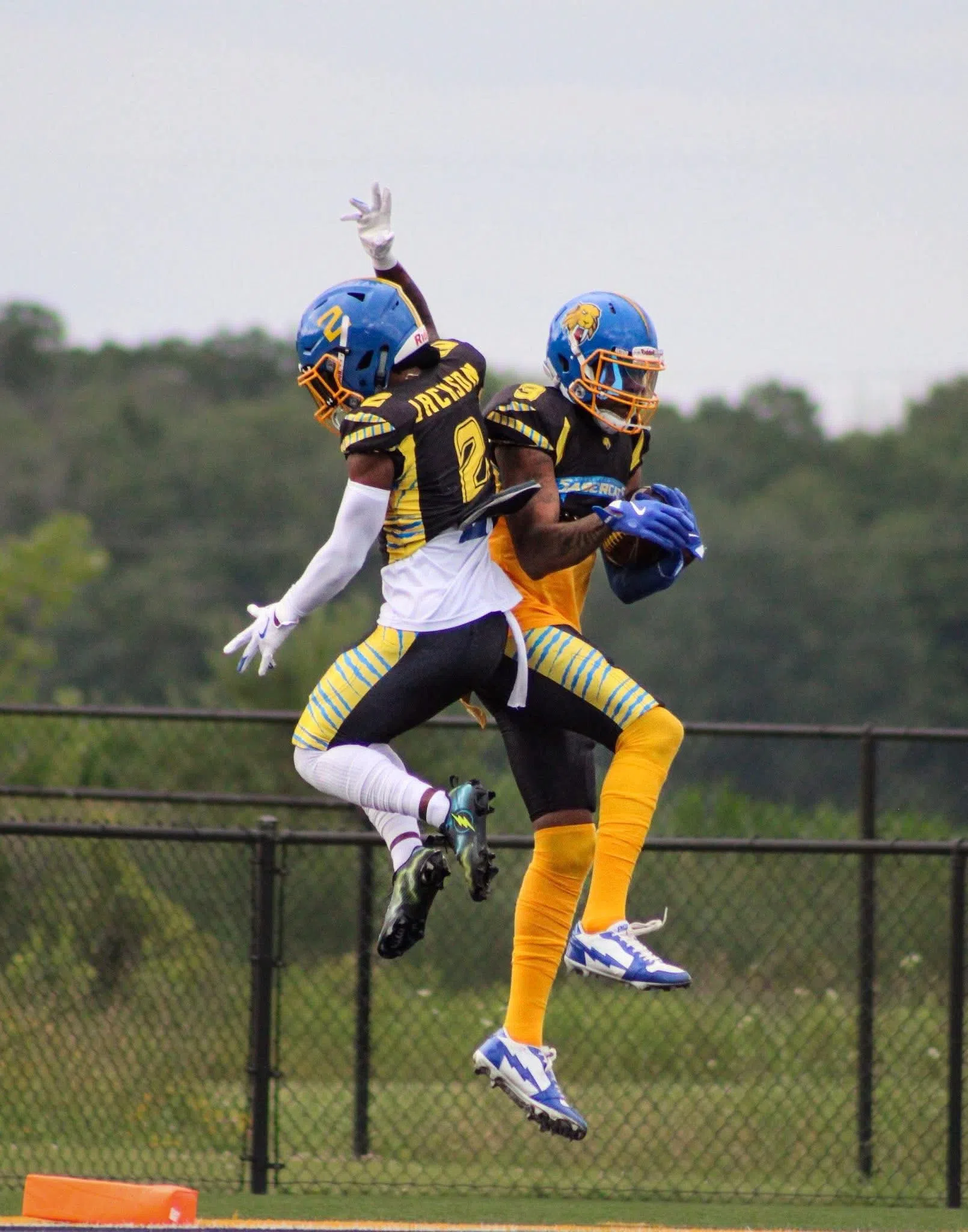 Sheboygan County SaberCats Earn Top Seed in MWUFL Playoffs