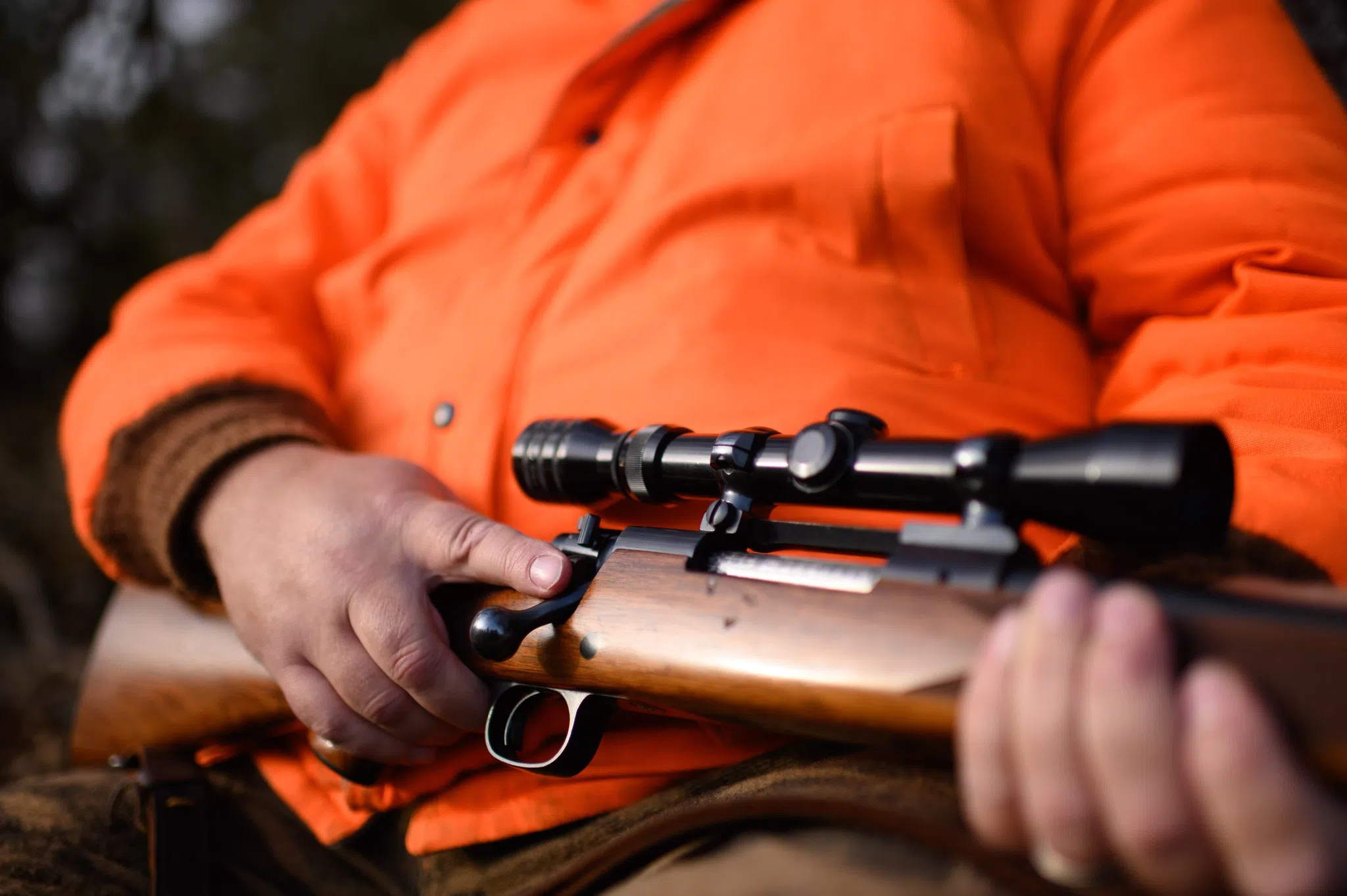 Deer Hunting Made Accessible - DNR's New Opportunities for Hunters with Disabilities
