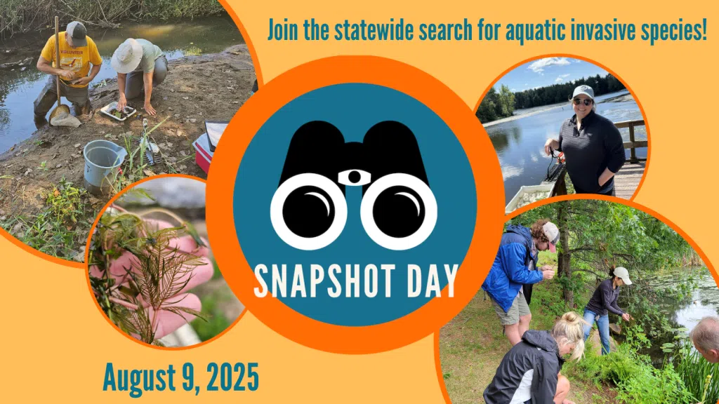 Help Protect Local Waters: Learn How to Spot Invasive Aquatic Species