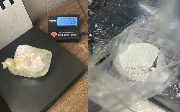 Drug Dealer Nabbed with Over a Half Pound of Cocaine
