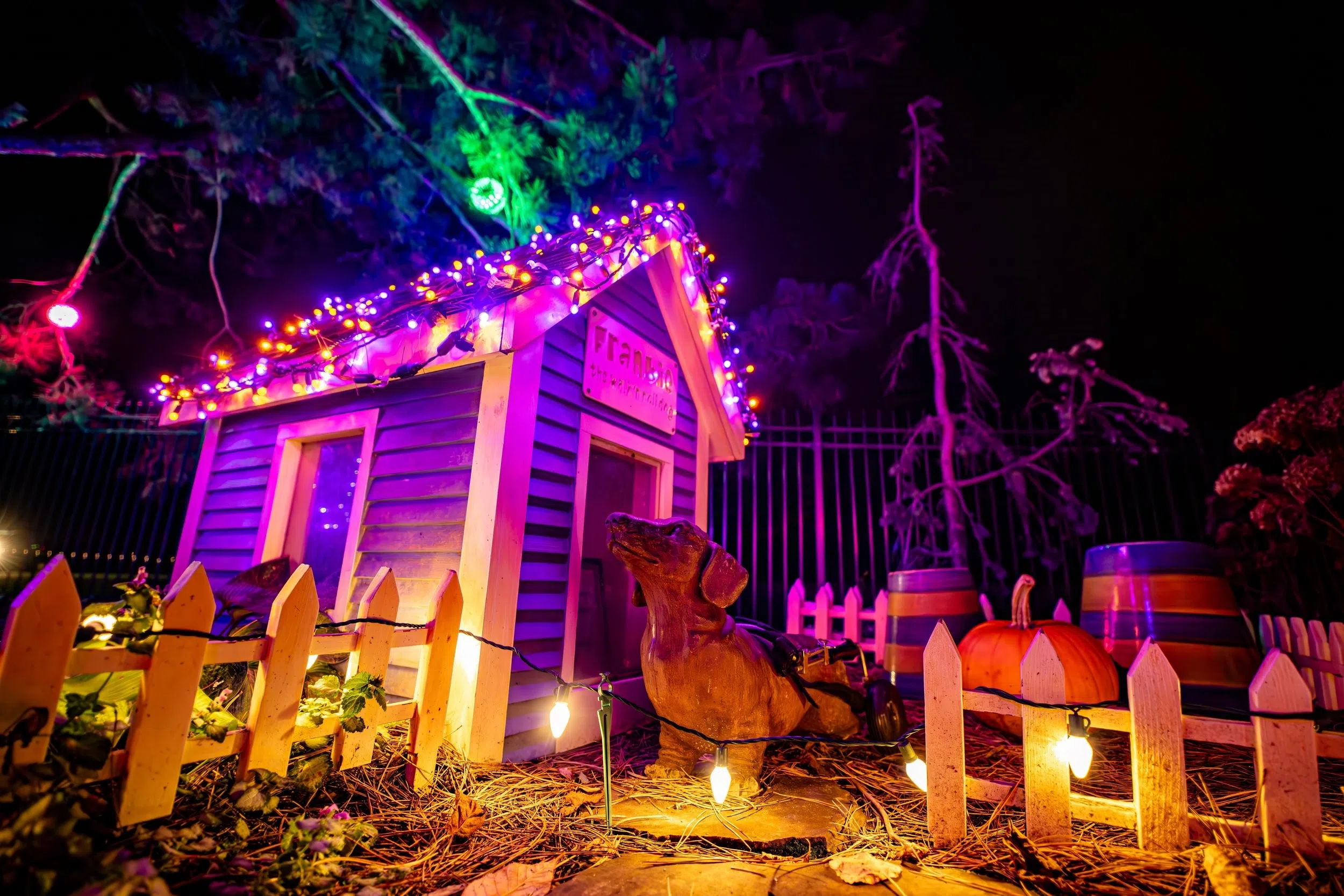 Bookworm Gardens Hosting Not-So-Spooky Haunted Weekends