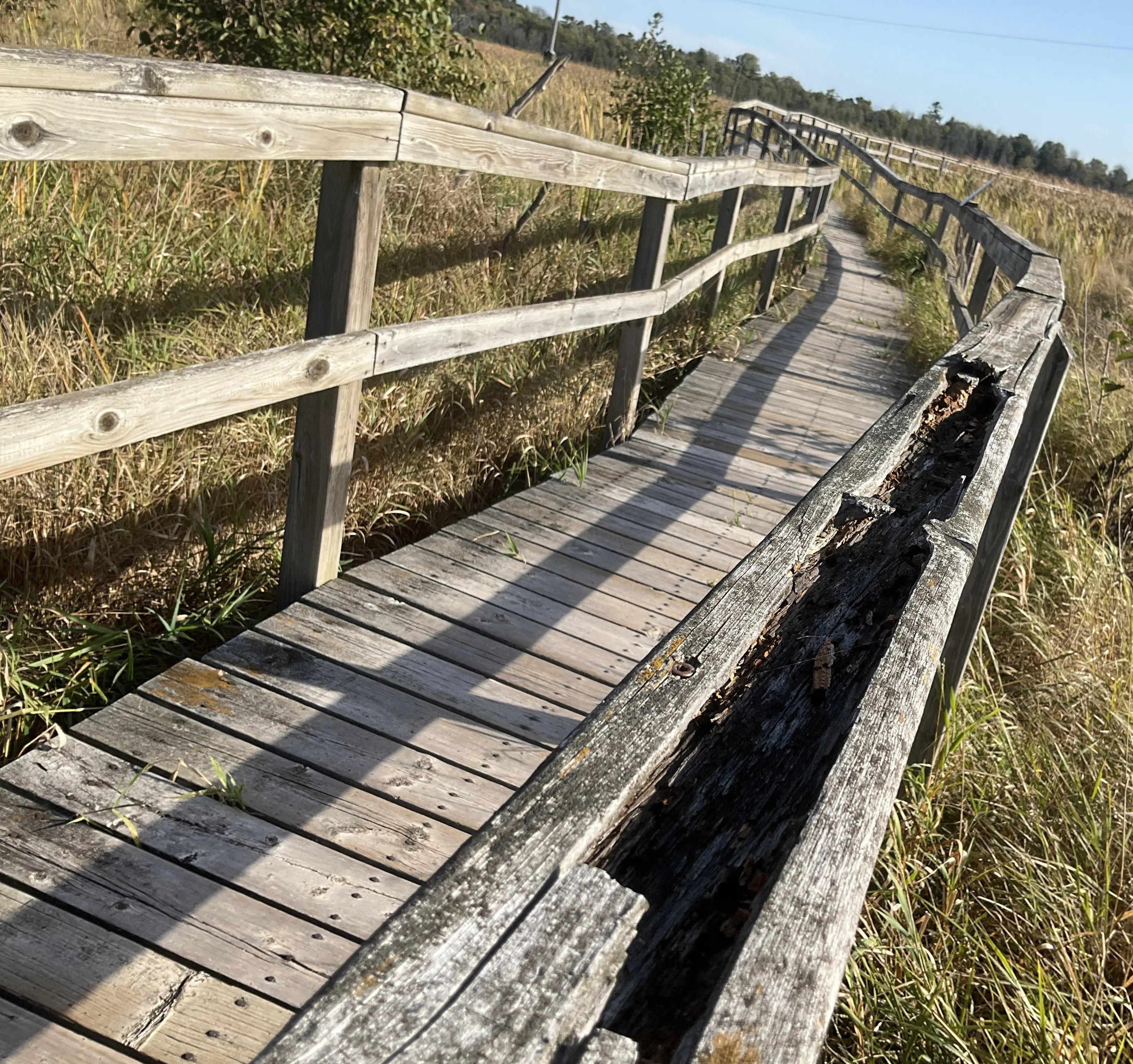 Ripples From the Dunes - Boardwalk