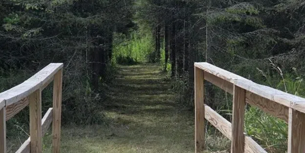 The Two Rivers Public Schools Forest Trail is Back