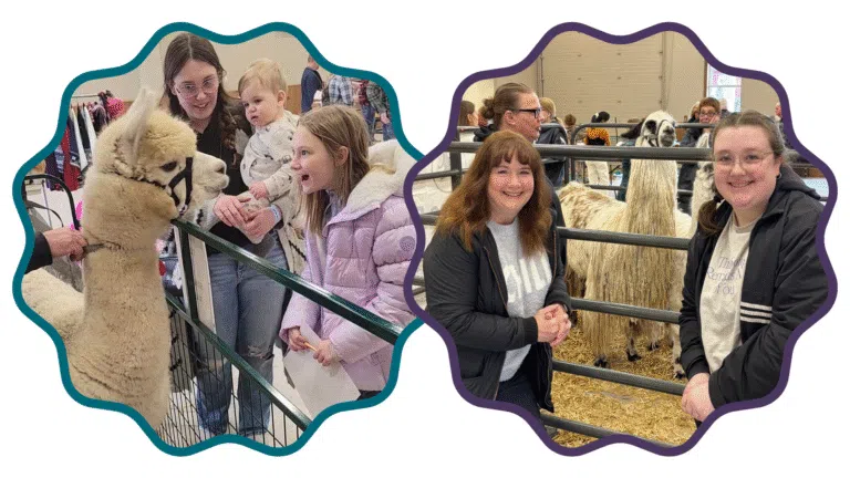 Farm Wisconsin Alpaca and Llama Extravaganza Coming in January