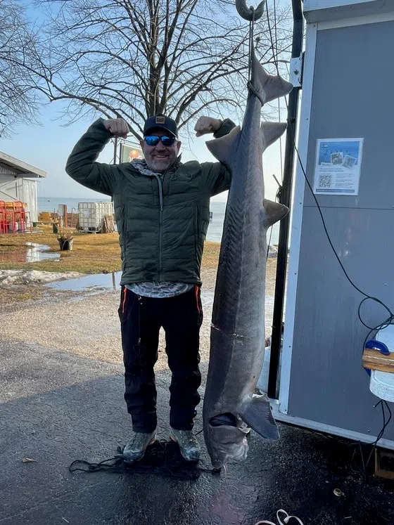 Warm Temperatures Dampen Sturgeon Harvest