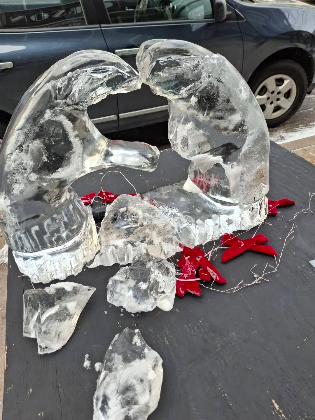 Appleton Ice Sculpture Vandal Turns Themselves In